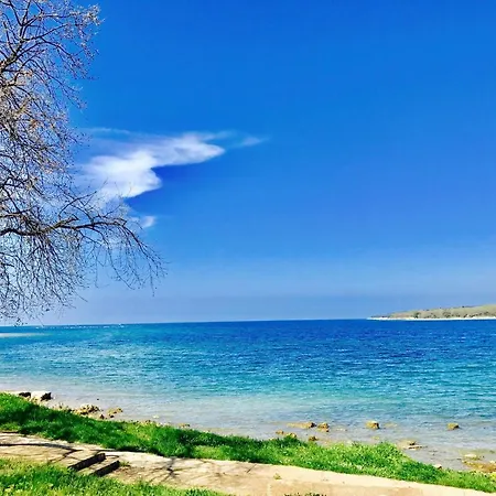 Apartman Rea Apartment